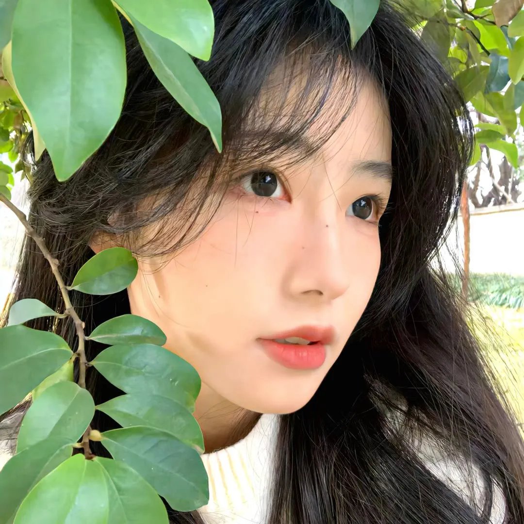 羊城暗哨